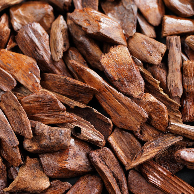 No.6   Pine+Sandalwood