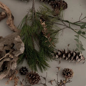 No.6   Pine+Sandalwood